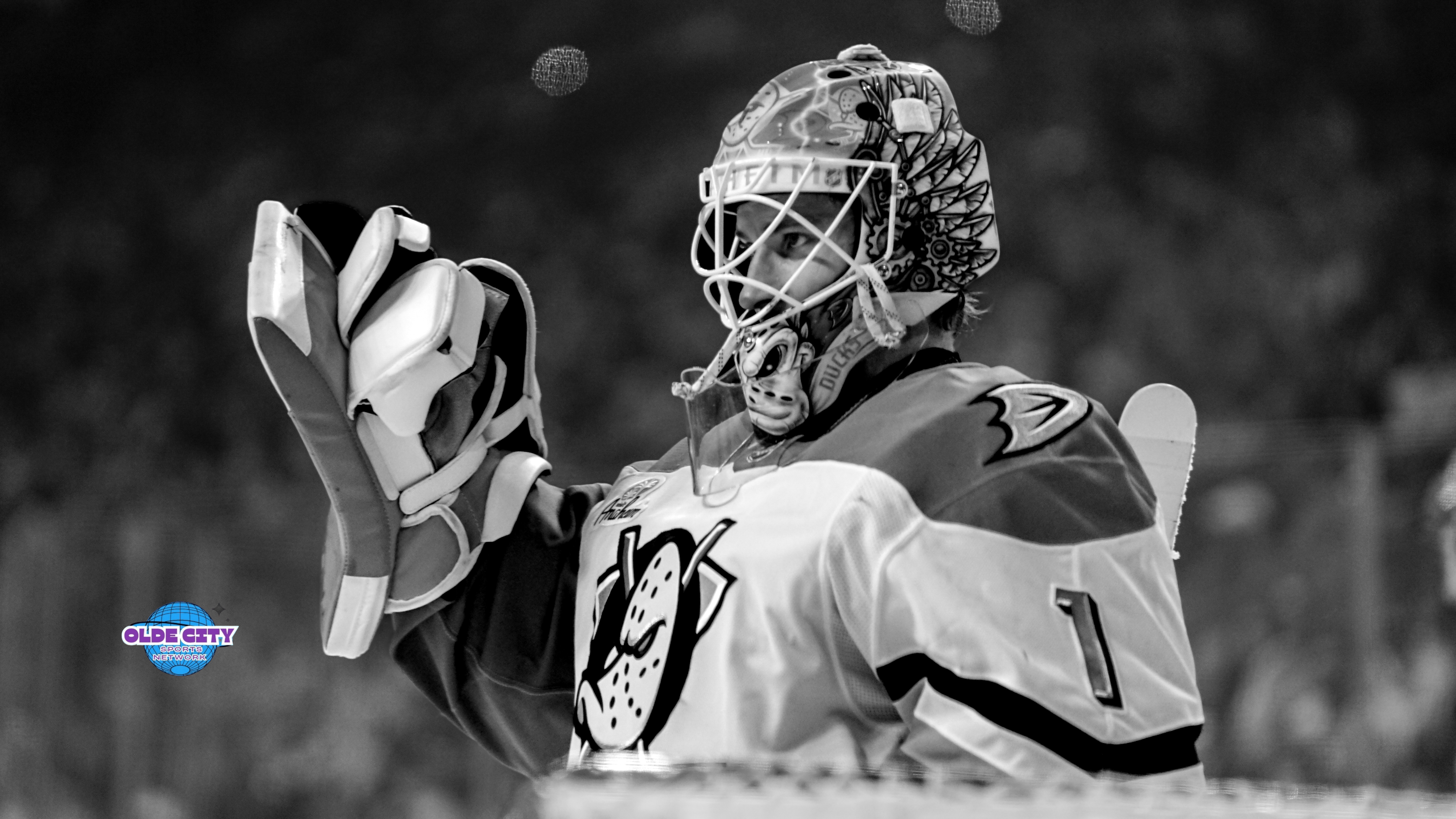 Live Hockey Photography